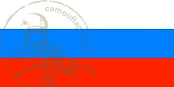Флаг России 60*90 со штоком